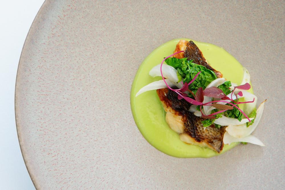 今月のディナーメニュー|カノビアーノ アネックス